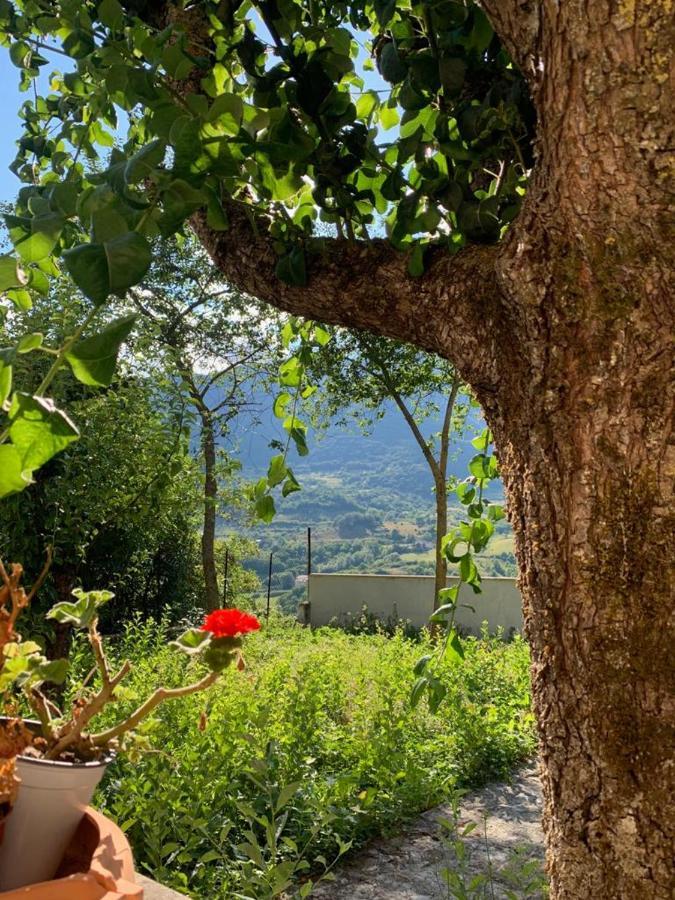 B&B Al San Francesco Castel Di Sangro Esterno foto